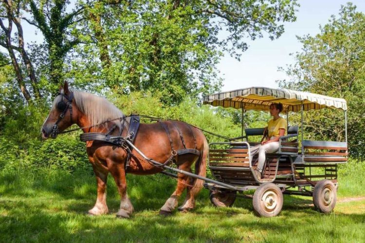 Afbeelding schuifregelaar