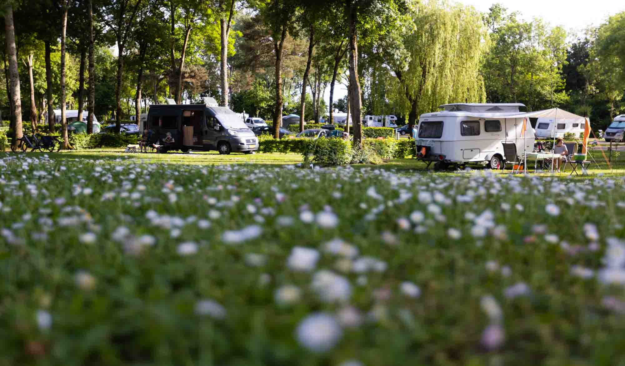 Afbeelding schuifregelaar