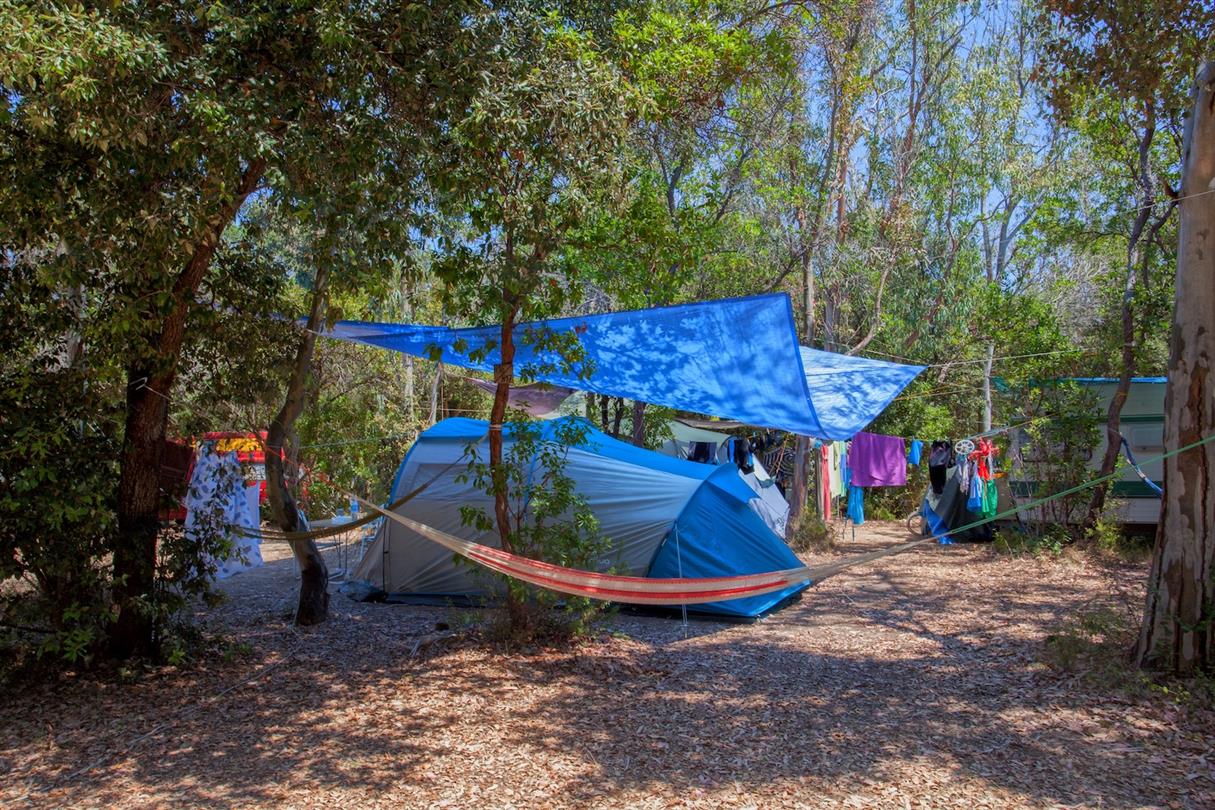 Image intro Camping naturiste Bagheera