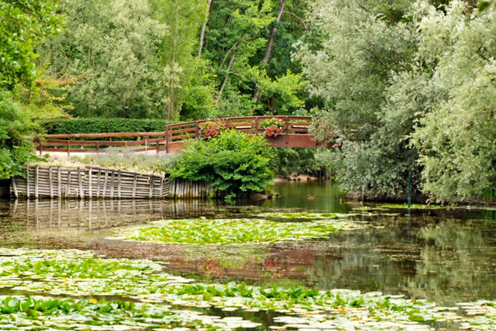 Image slider